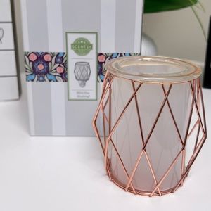 Wire are you blushing Scentsy plug in